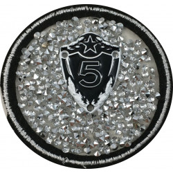 Yapıştırma Dökme Taşlı 5 Arma Patch