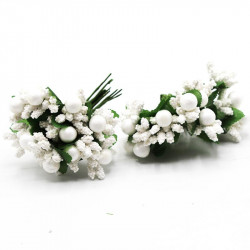 Pıtırcık Beyaz İncili Çiçek Beyaz