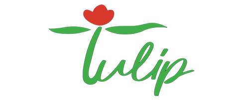 Tulip
